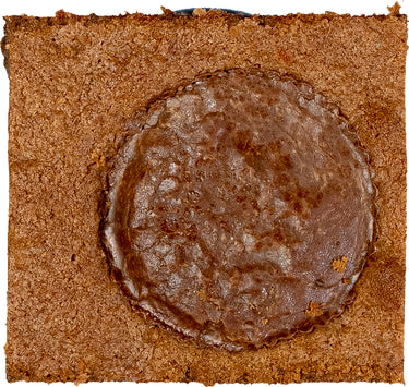 Reese's Peanut Butter Cup Bar